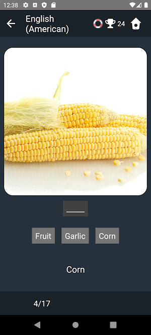 American English Test Screenshot 3