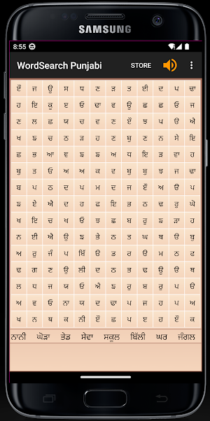 WordSearch - Punjabi Screenshot 0