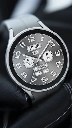 Silver Gray Quartz ZKin Watch Screenshot 2