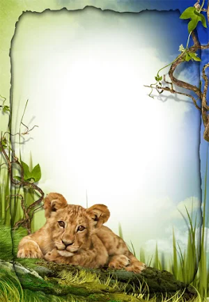 Animal Photo Frames Screenshot 3