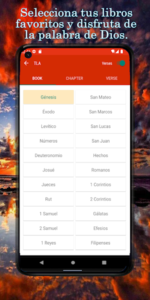 TLA Bible (Spanish) – Audio Screenshot 2
