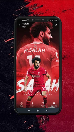 World Cup Wallpapers HD Screenshot 3