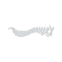 Pukekohe Chiropractic