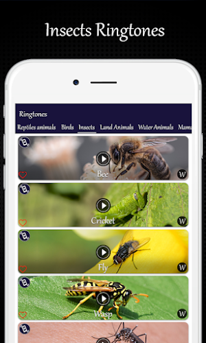 Animals and Birds Ring Tones Screenshot 1