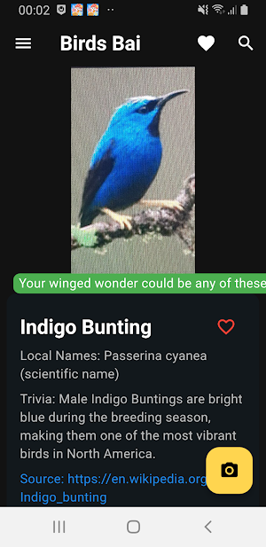 Birds Bai Screenshot 1