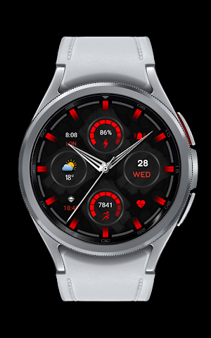 CNRwatch017 Screenshot 3