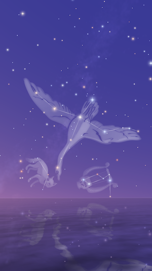 Starry Sky Screenshot 0