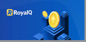 Royal Q GUIDE Screenshot 3
