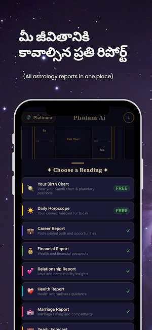 Phalam Ai –Telugu AI Astrology Screenshot 3