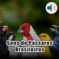 Sons de Pássaros Brasileiros