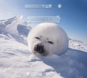 Baby Seal Theme Screenshot 0