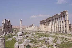Syria wallpapers Screenshot 3