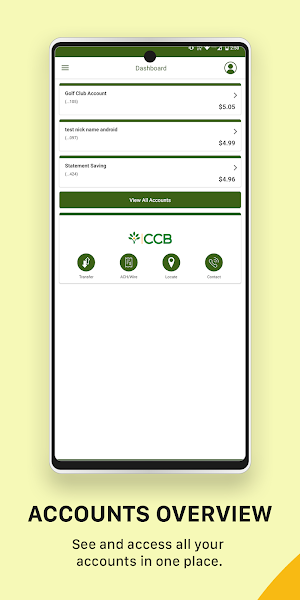 CCB Biz Screenshot 2