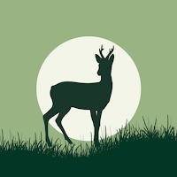 Rehbock Rufe – Roe Deer Calls