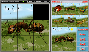 Magic Slide Puzzle Insects 1 Screenshot 2