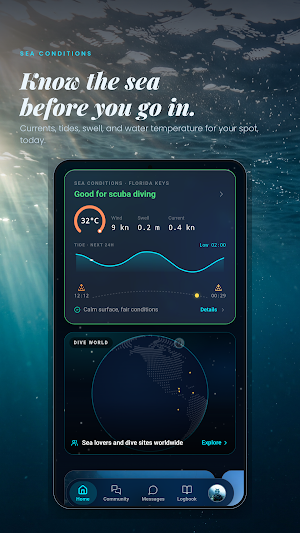 Diving Standard Screenshot 0