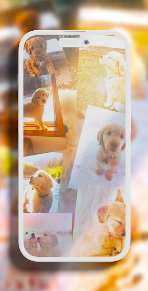 Puppy aesthetic wallpapers Screenshot 3