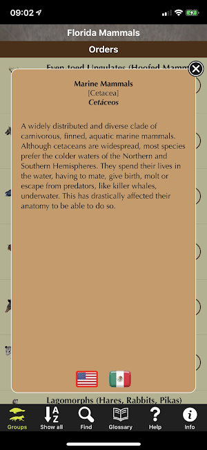 Florida Mammals Screenshot 3