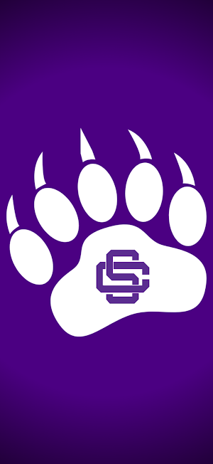 Sevier County Smoky Bears Screenshot 0