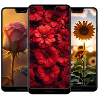 Flower Wallpaper HD