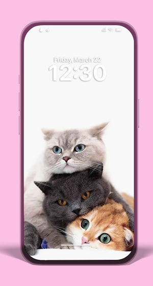 Cats Wallpapers & Backgrounds Screenshot 3