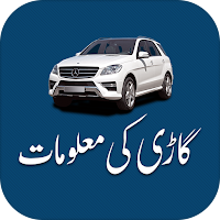 Vehicle Verification Details