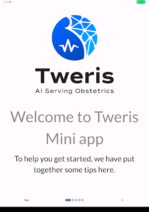 Tweris Mini Screenshot 3