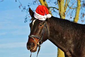 Animals christmas wallpapers Screenshot 1