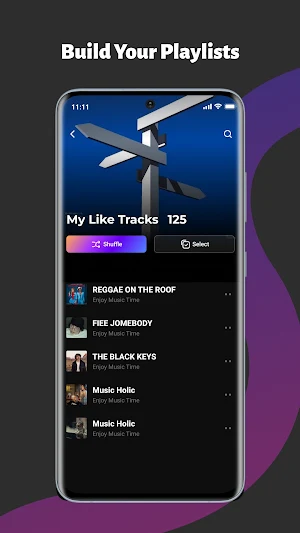 CrispTone: Offline Music Screenshot 3