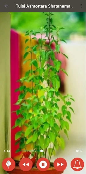 Tulsi Ashtakam Shatanamavali Screenshot 2