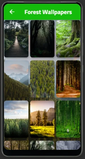 Forest Wallpapers Screenshot 0