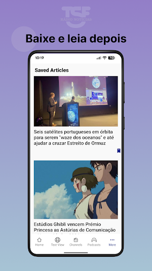 TSF Screenshot 3