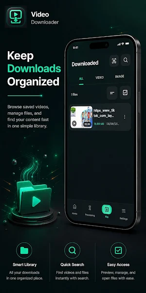Video Download Master Screenshot 3