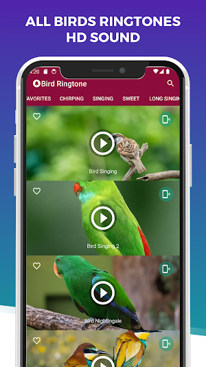 Bird Ringtones: Bird Sound Screenshot 2