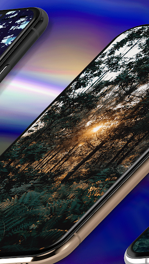 Forest Wallpaper HD Screenshot 2