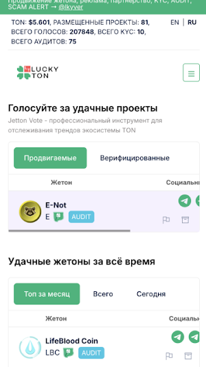 Jetton Vote Screenshot 0