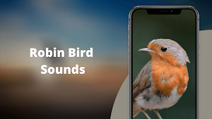 Robin Sounds Screenshot 0