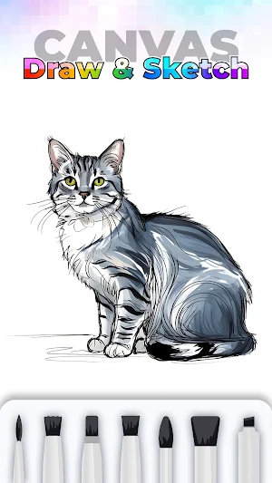 Canvas Draw & Sketch Screenshot 0