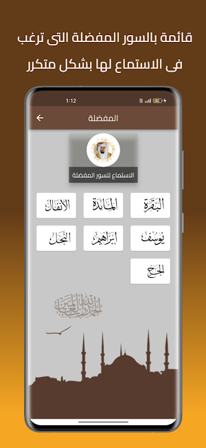 ماهر المعيقلي قرأن بدون نت Screenshot 3