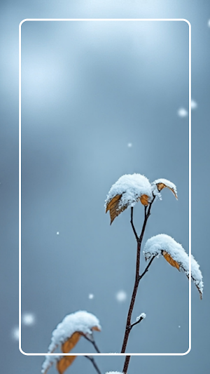 Winter Wallpaper 4K Screenshot 2