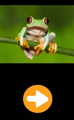Animal Sounds Screenshot 0
