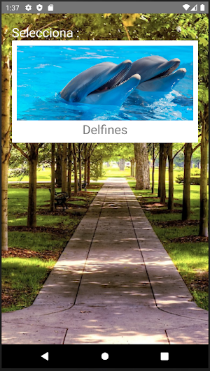 Rompecabezas de Delfines Screenshot 0