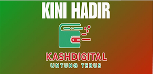 KashDigital Screenshot 0