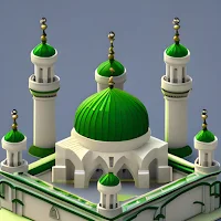Muslim Fellow