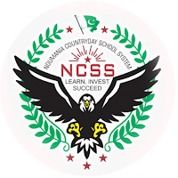Noumania CSS