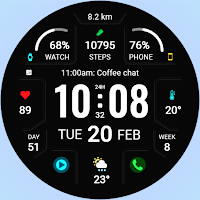 WFP 324 Digital watch face