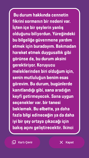 Melek Falı ruyaevi.com Screenshot 2