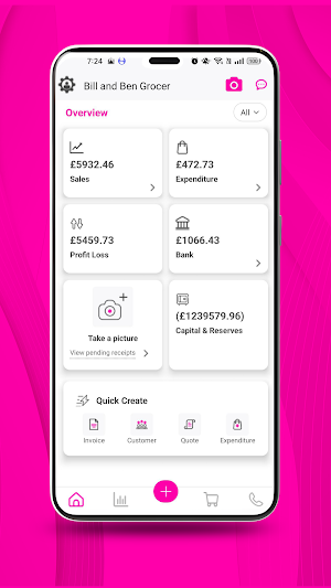 dns accounting Screenshot 0