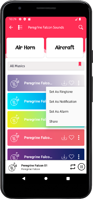 Peregrine Falcon Sounds Screenshot 3