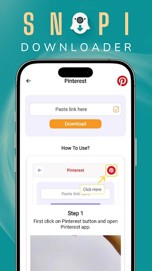 Snapi - All Video Downloader Screenshot 3